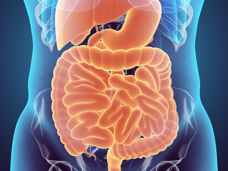5 Tips For Healthier Digestion